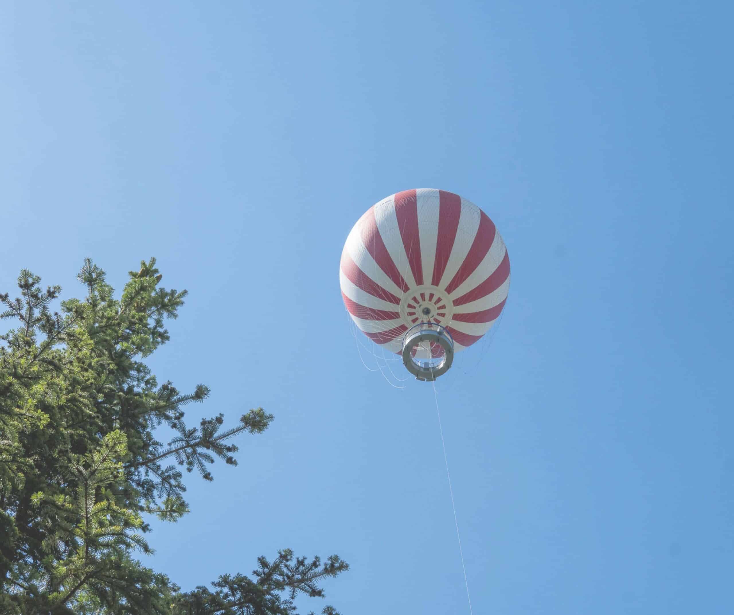Balloonfly