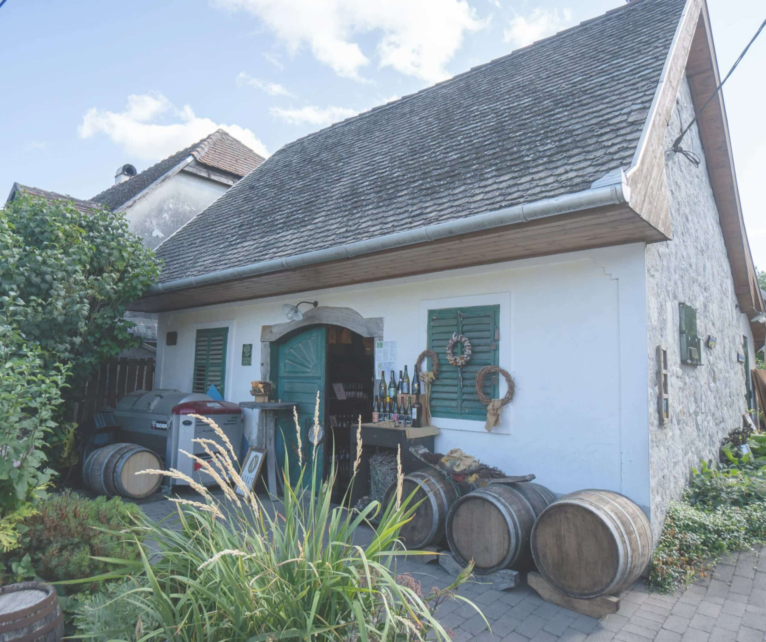From Budapest: Half-Day Countryside Wine Tour with Meal