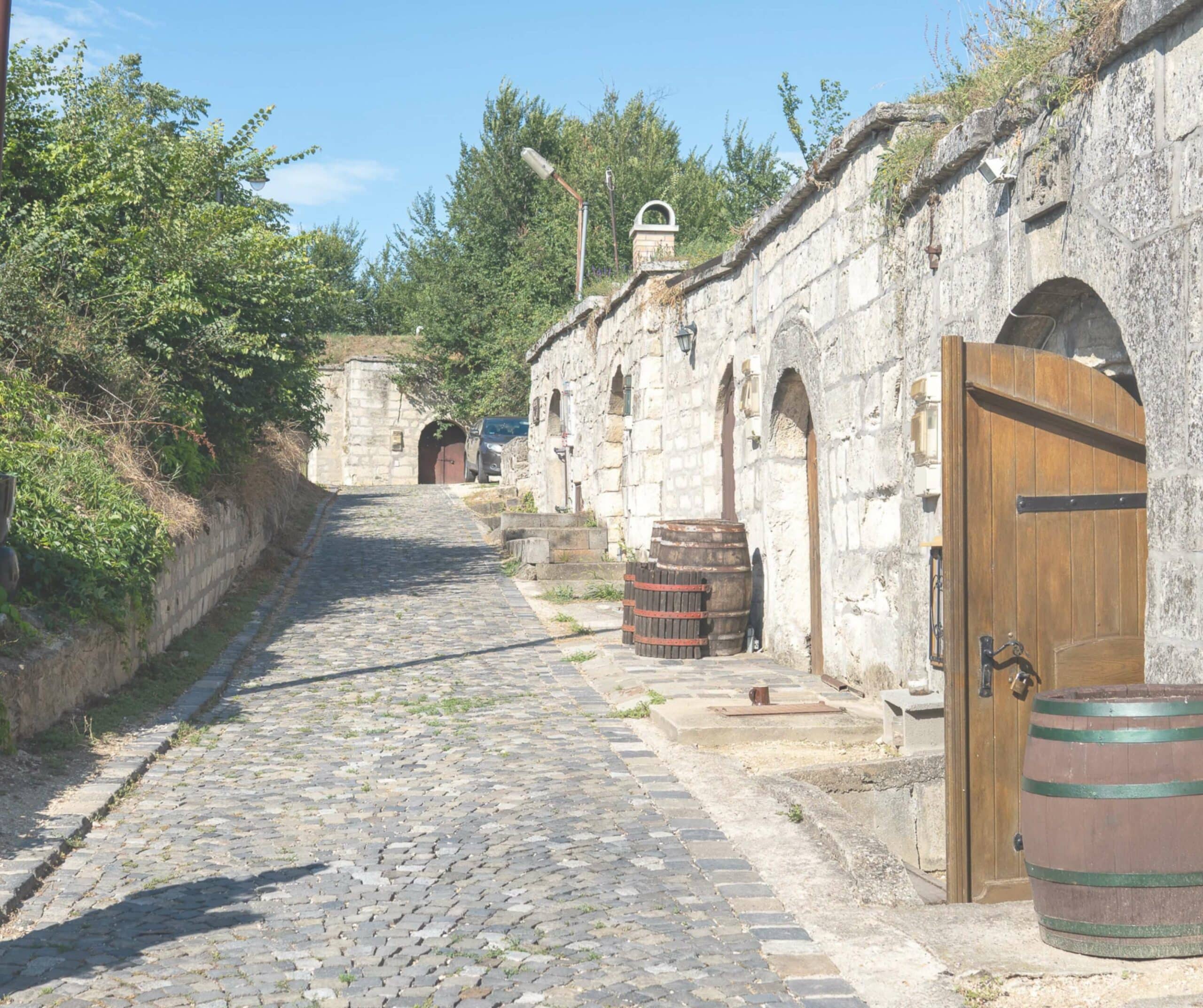 From Budapest: Half-Day Countryside Wine Tour with Meal
