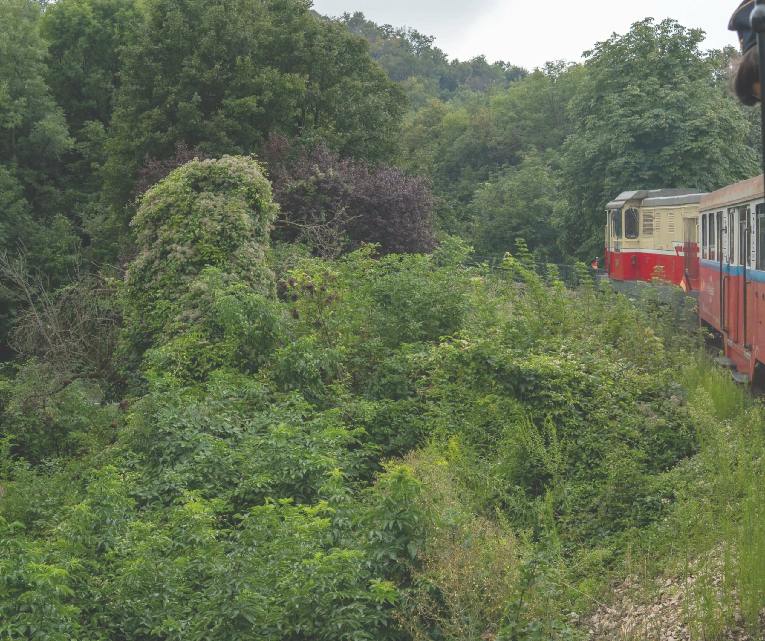 childrens train budapest