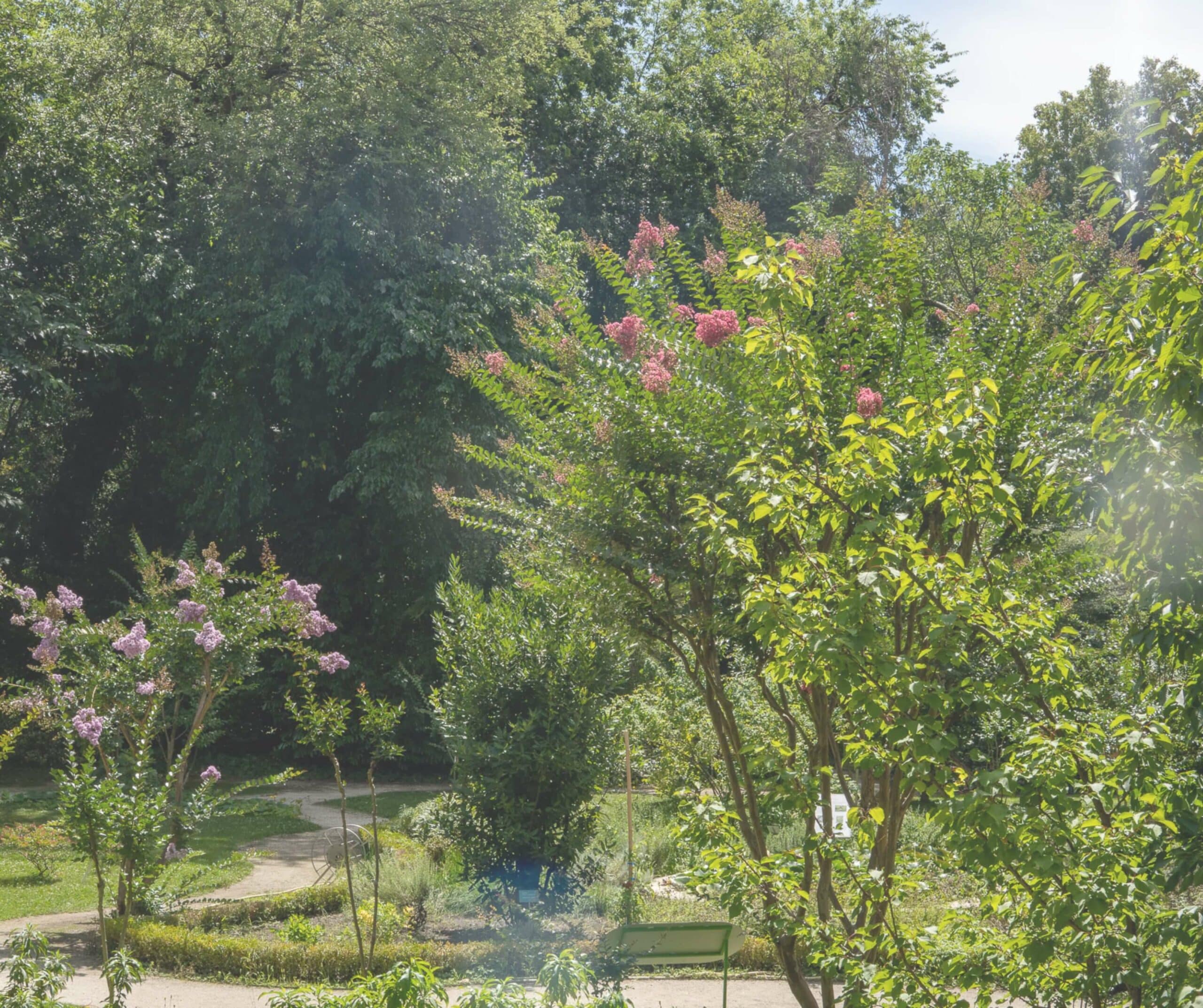 botanical garden hungary
