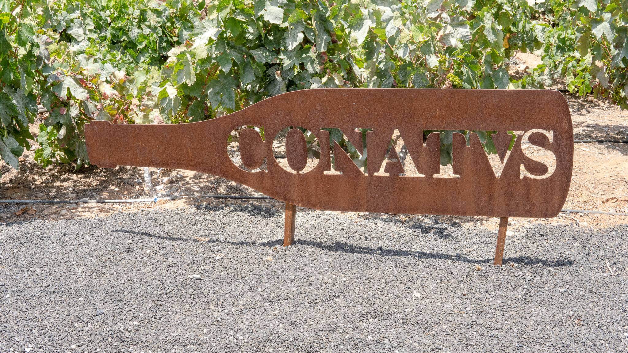 winery on fuerteventura