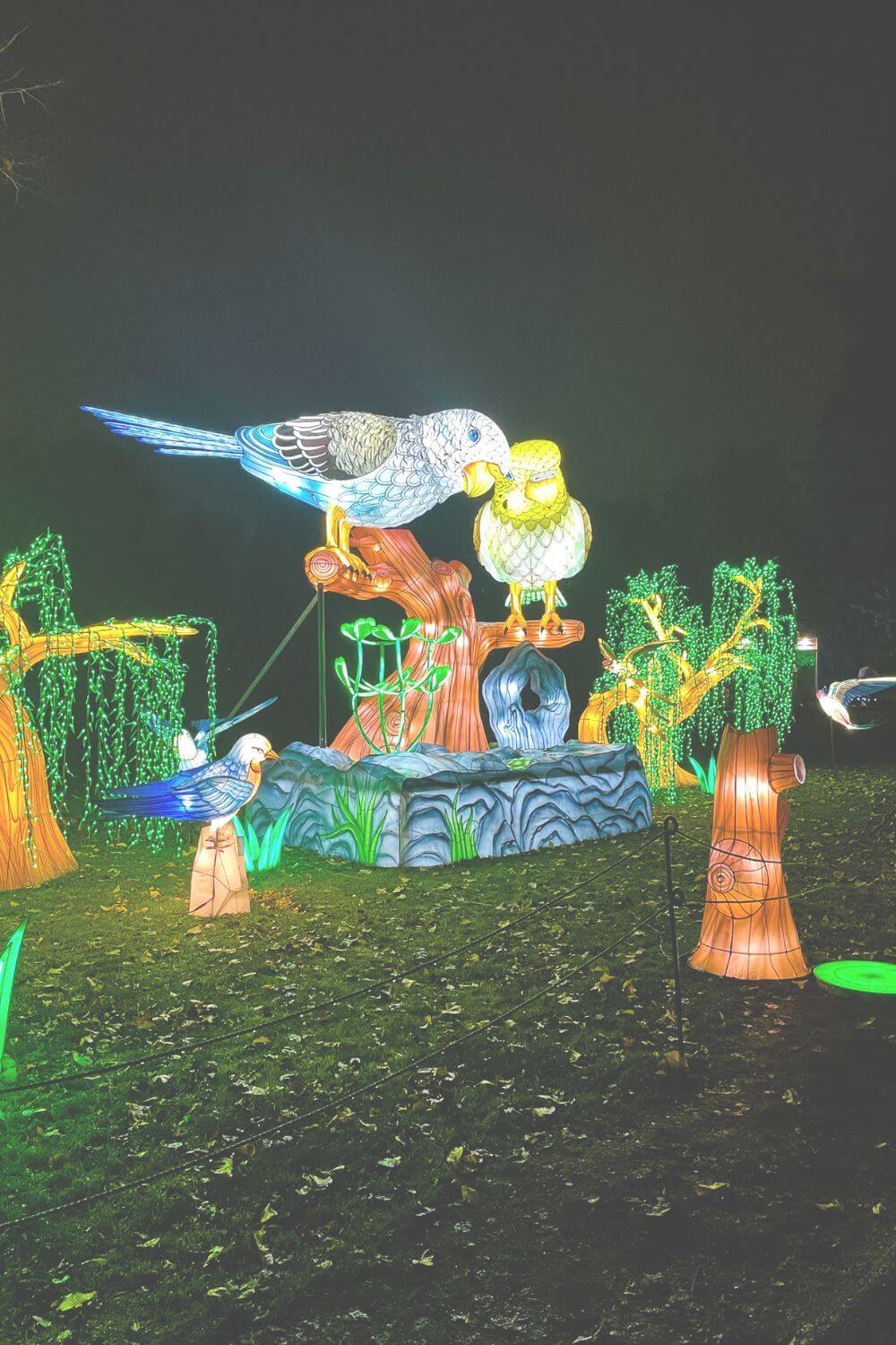 zoo lights seattle