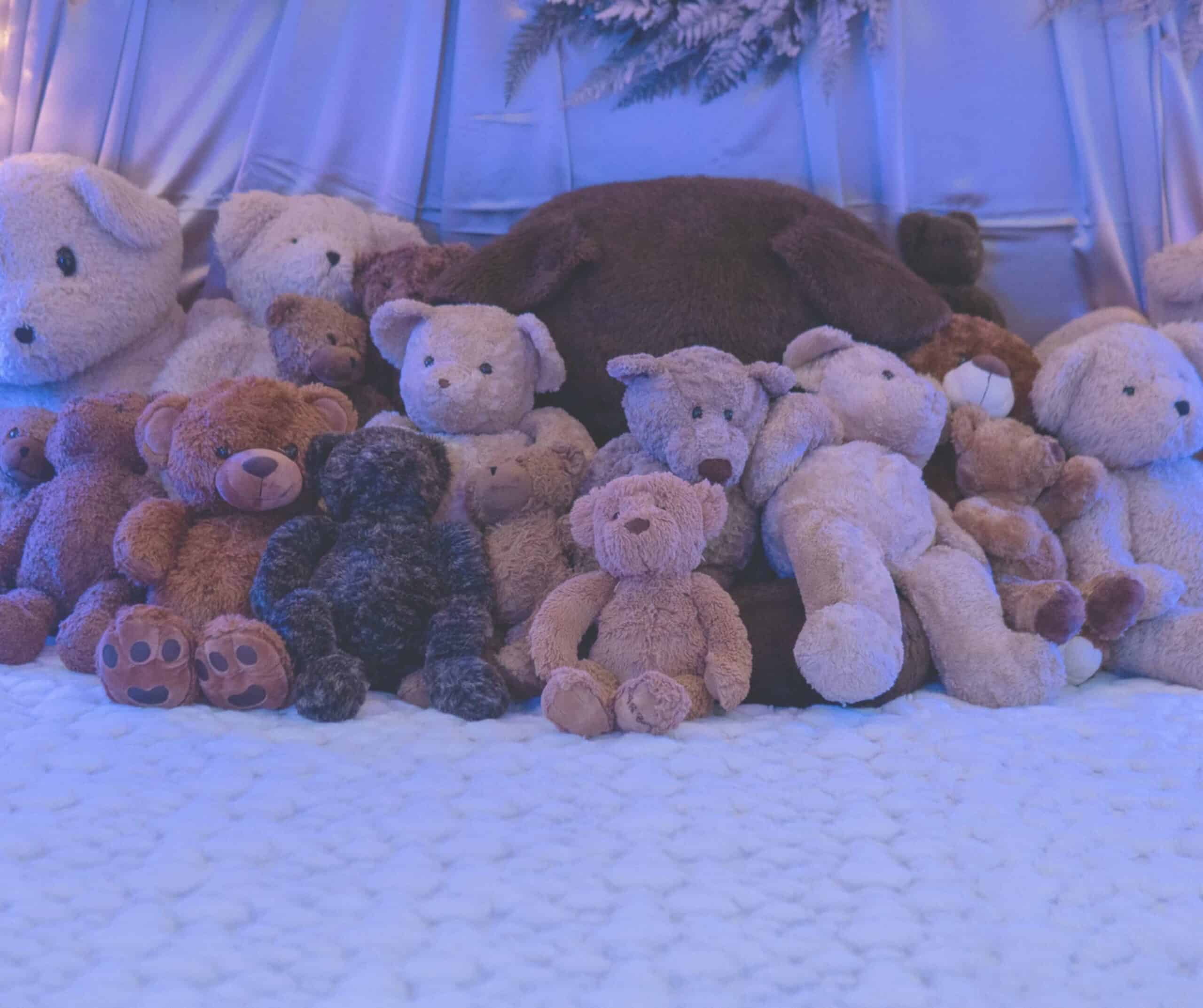 teddy bear suite