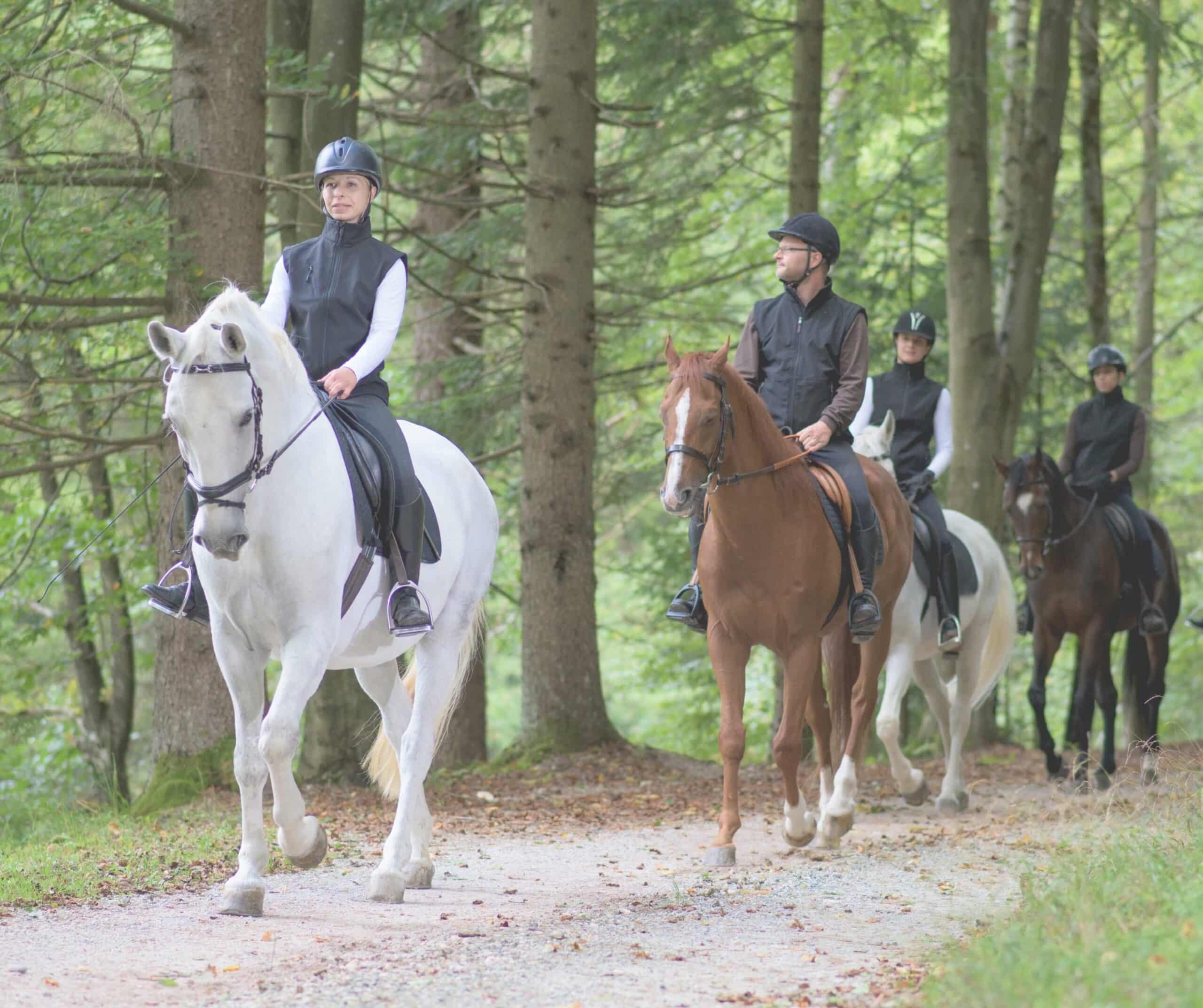 a group riding horses