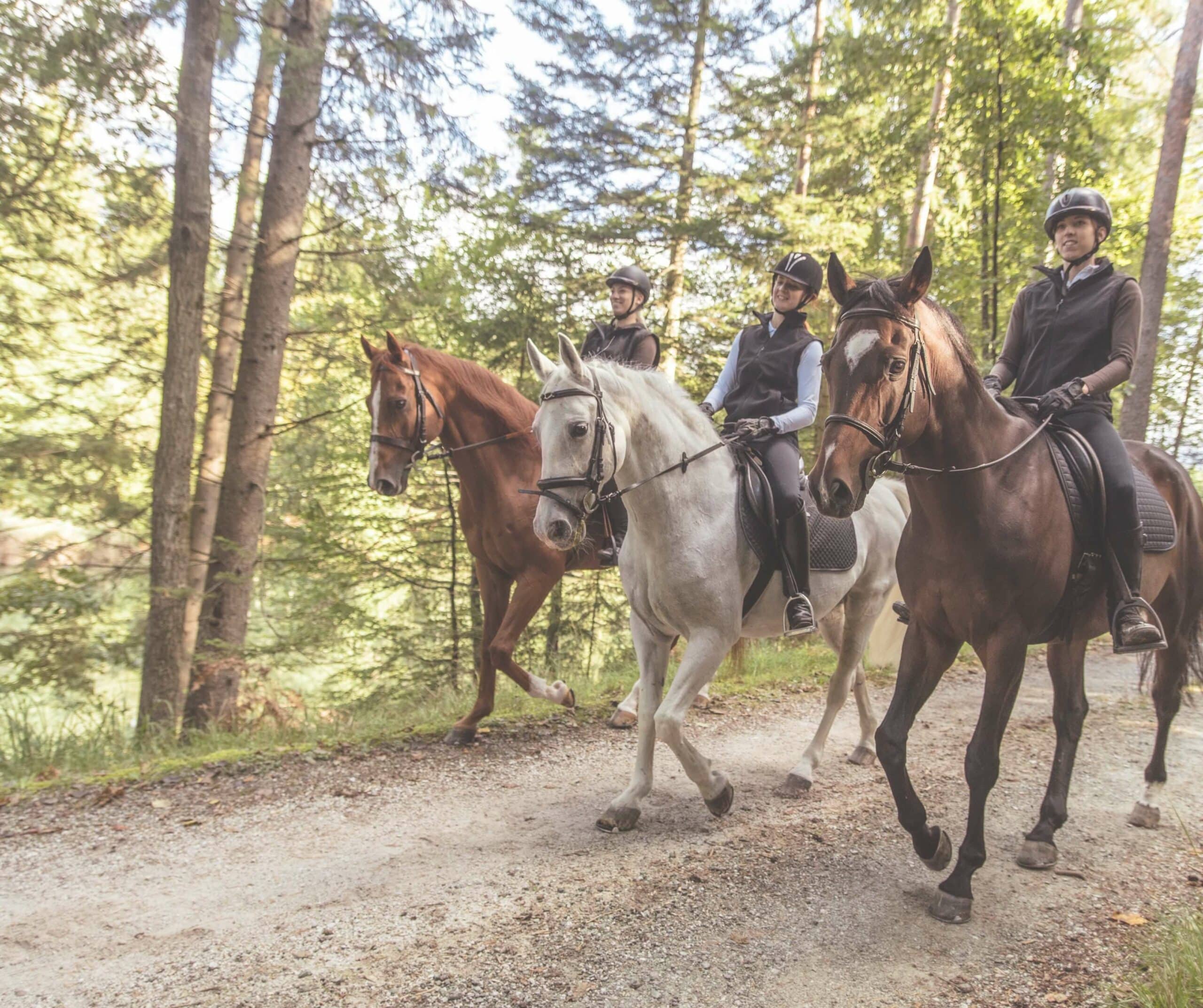 Horseback riding in montserrat