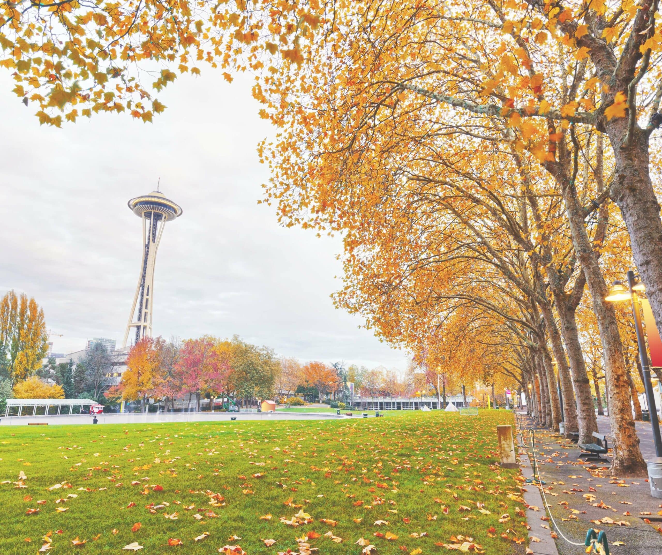 fall in seattle