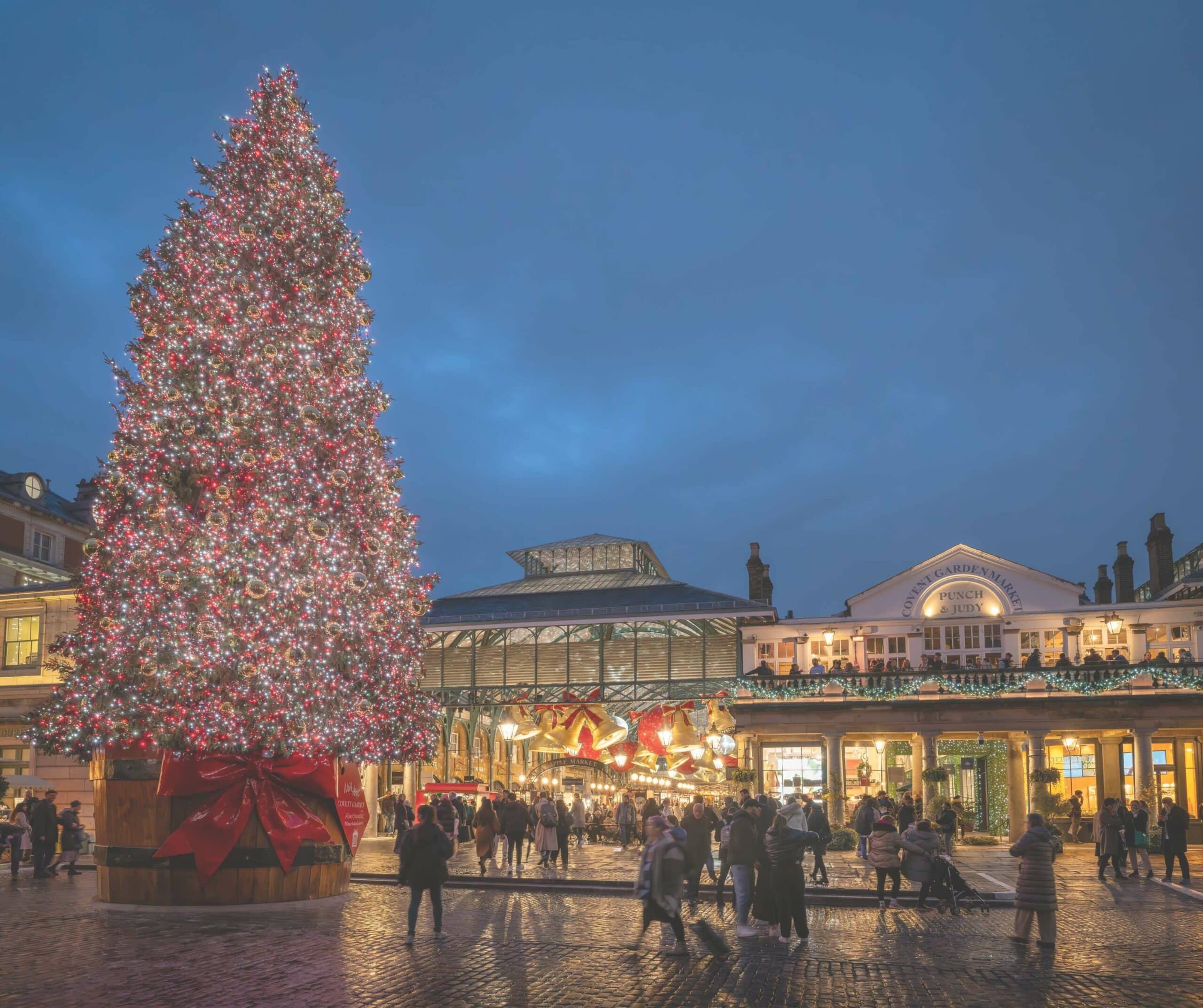 christmas lights tour