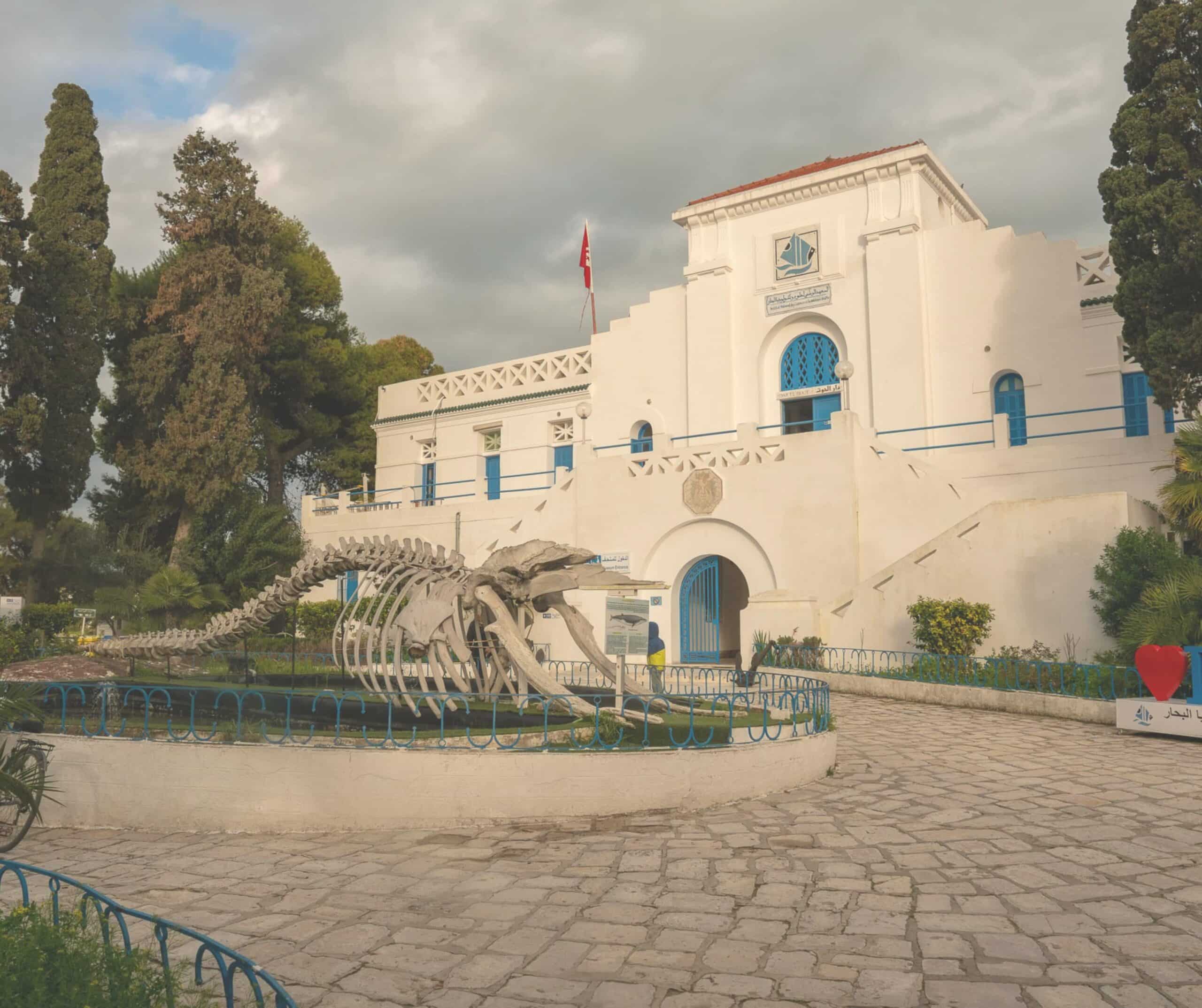 The National Oceanographic Museum
