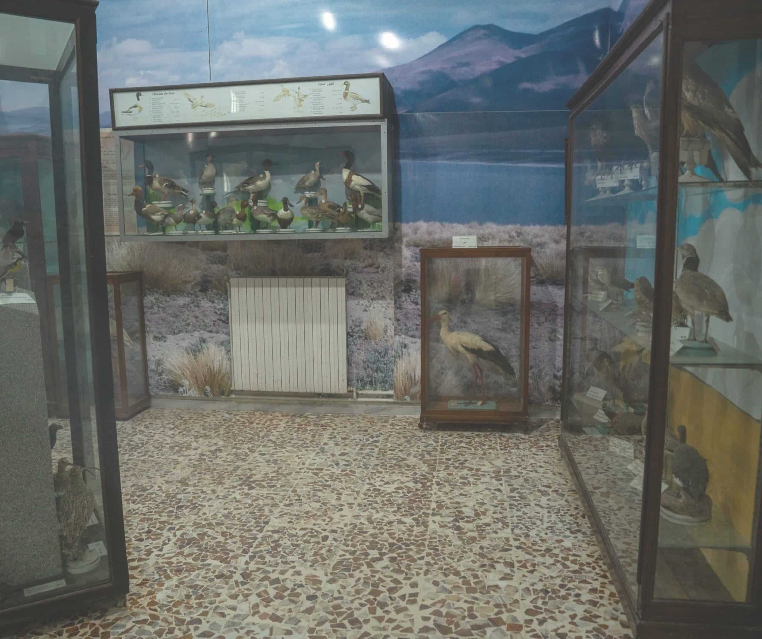 The National Oceanographic Museum