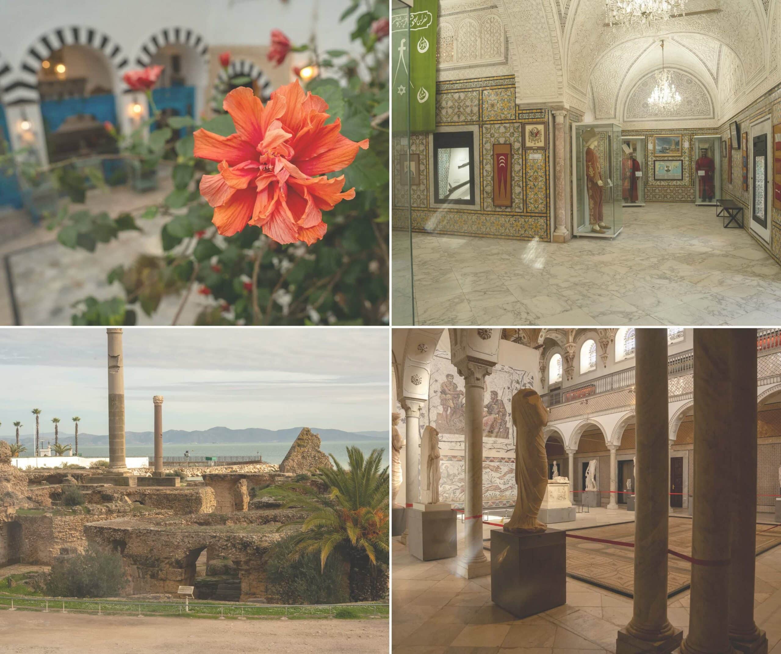 museums in tunis