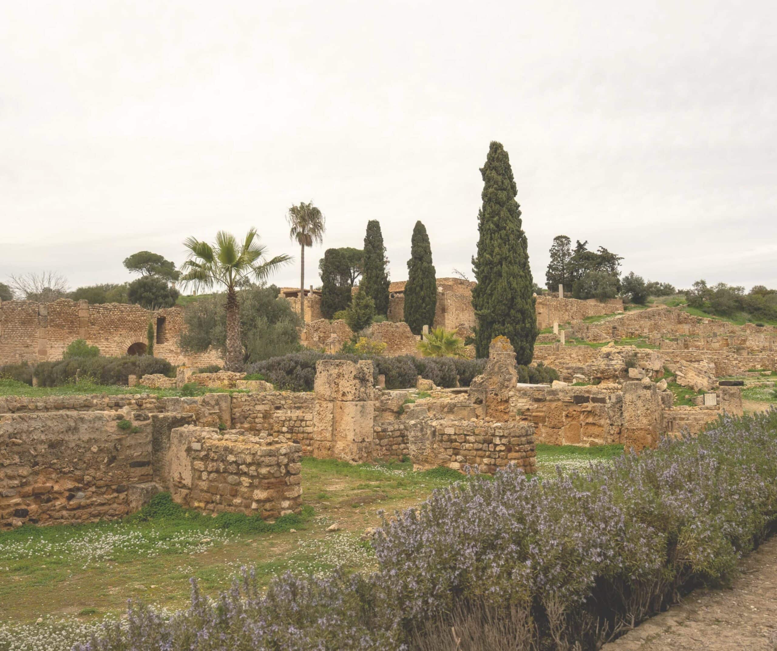 The Punic Ports