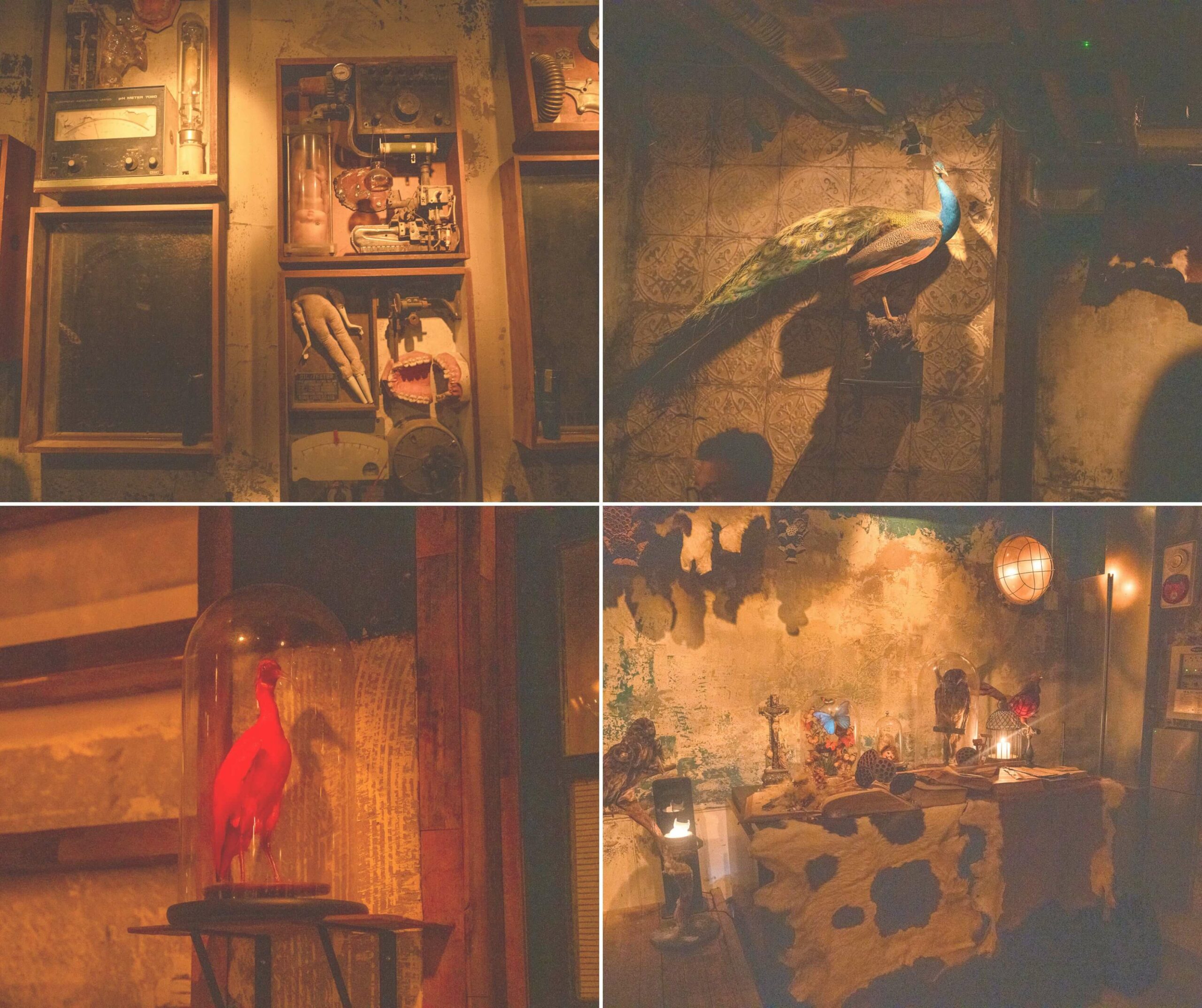 birdman bar