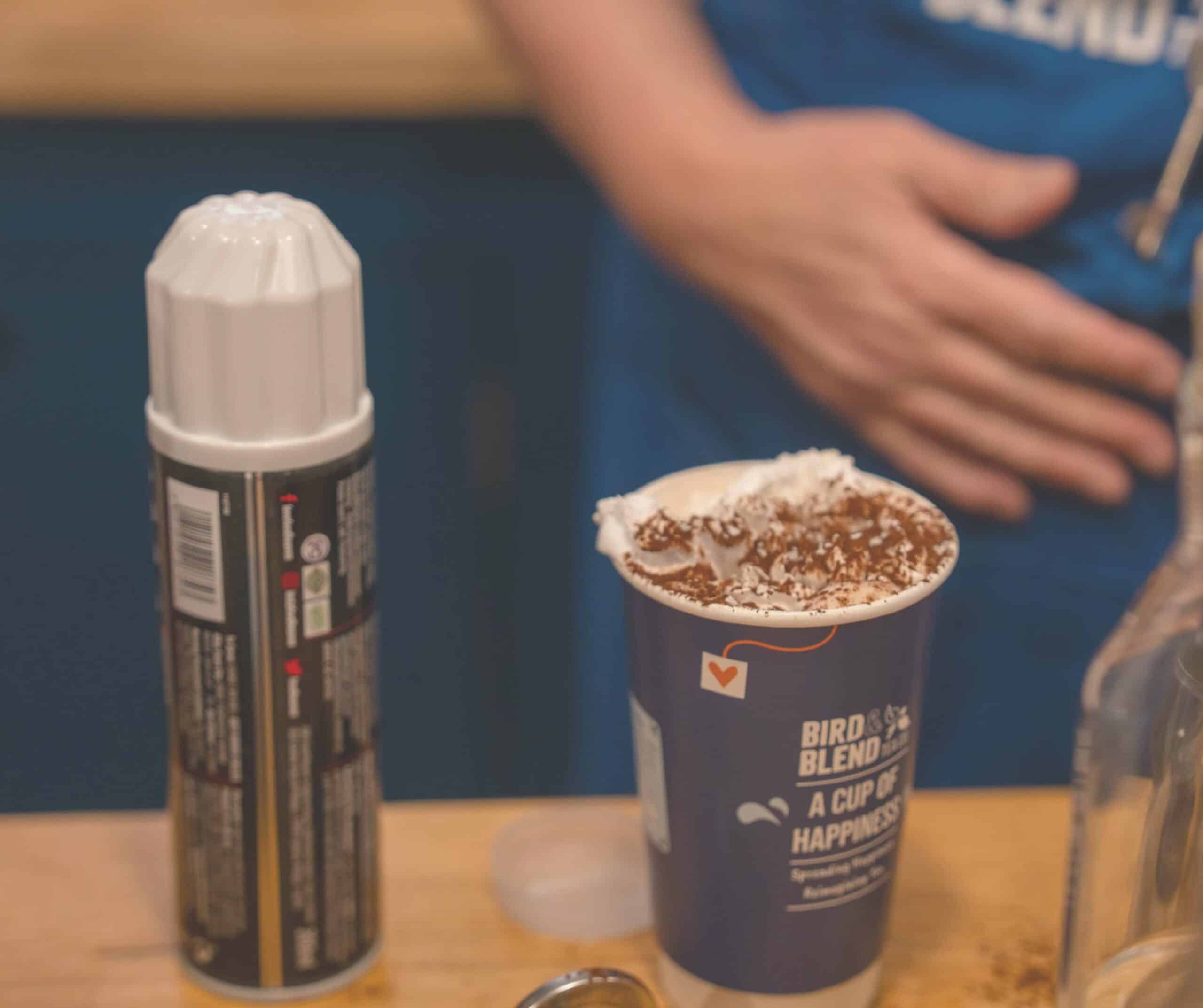 Bird & Blend hot chocolate topped with whipped cream and cocoa in a purple cup in Rye