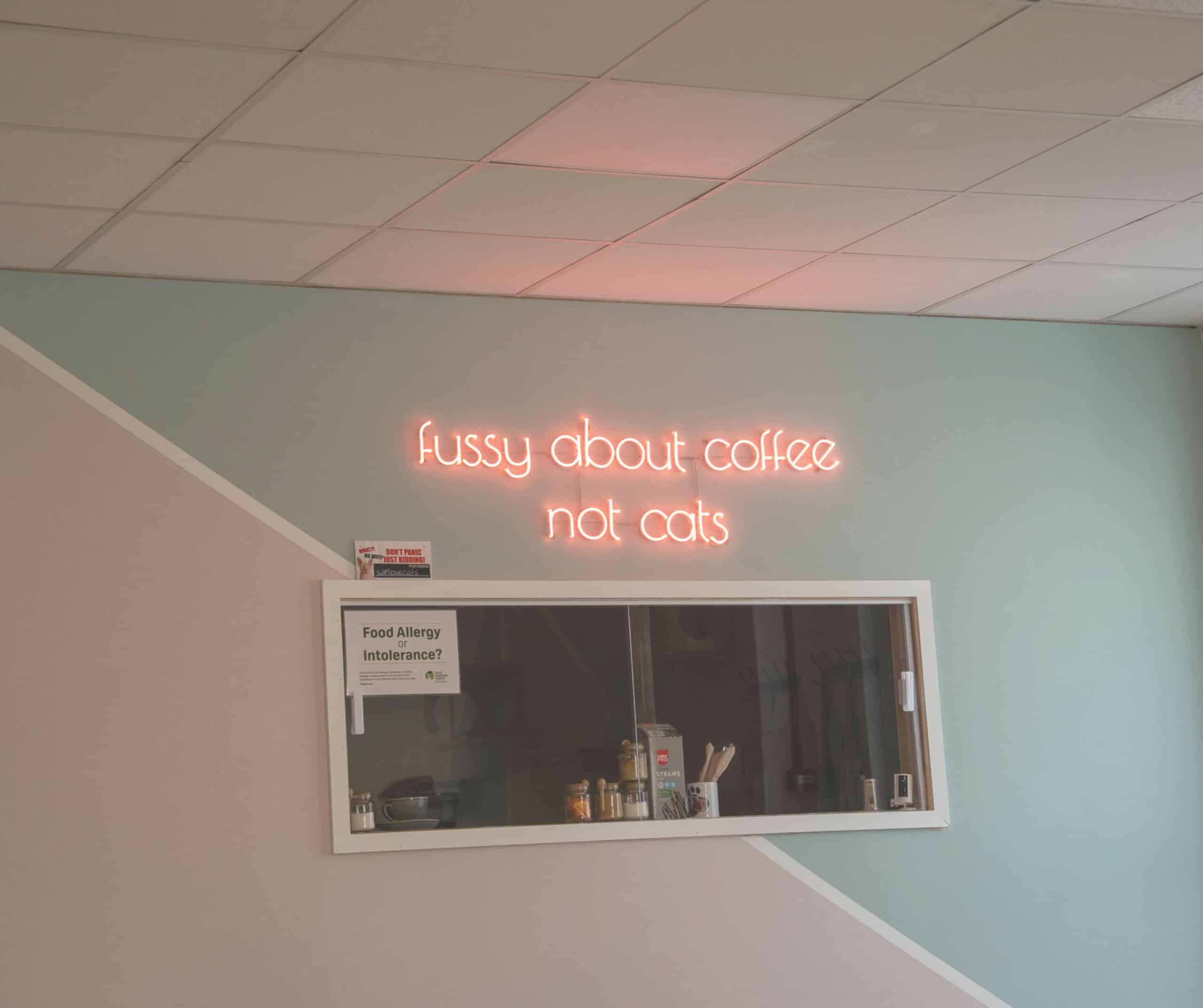Neon 'fussy about coffee not cats' sign above the kitchen window at Kiko's Cat Cafe in Rye