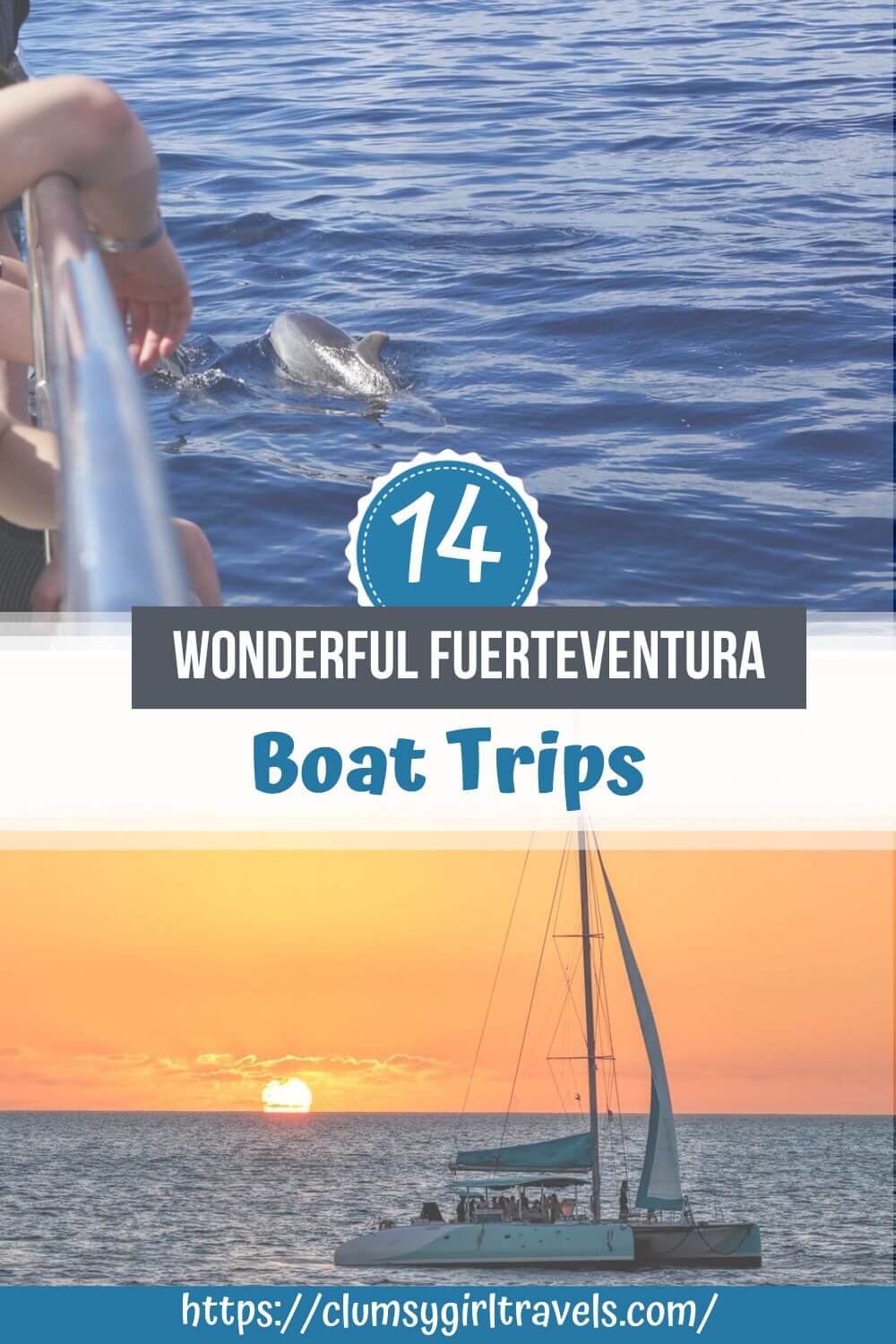 pin for fuerteventura boat trips 14 Wonderful Fuerteventura Boat Trips: a dolphin swimming beside a boat and a catamaran sailing at sunset