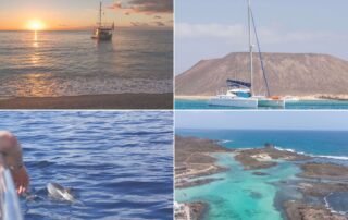 Fuerteventura boat trips collage: a gulet at sunset, a catamaran off Lobos Island, a dolphin beside a boat, and the El Puertito lagoon.